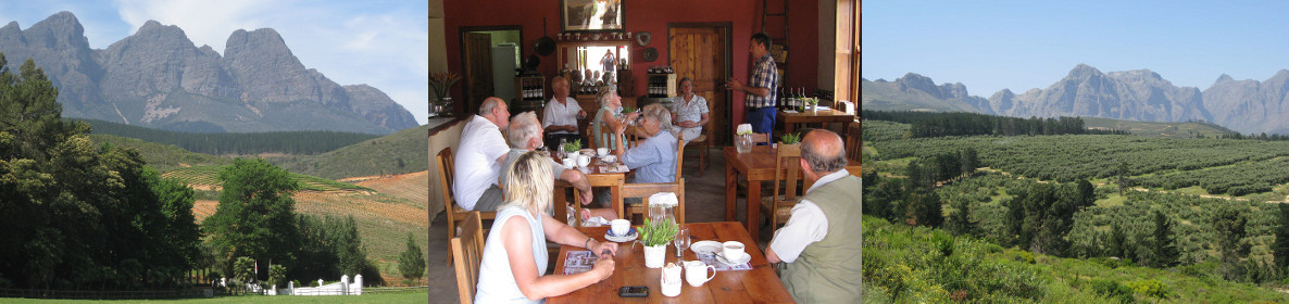 Wellington Wine Walk